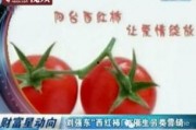 吃瓜娱乐营销号怎么做,如何玩转热点，吸引粉丝